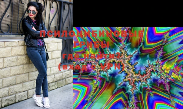 индика Алзамай