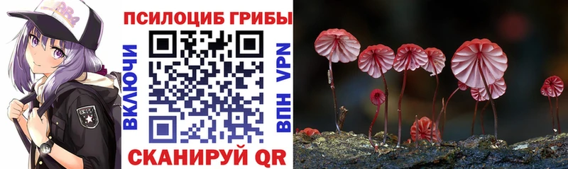 Галлюциногенные грибы Psilocybine cubensis Карасук