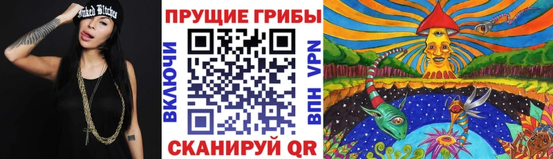 Галлюциногенные грибы мицелий Карасук