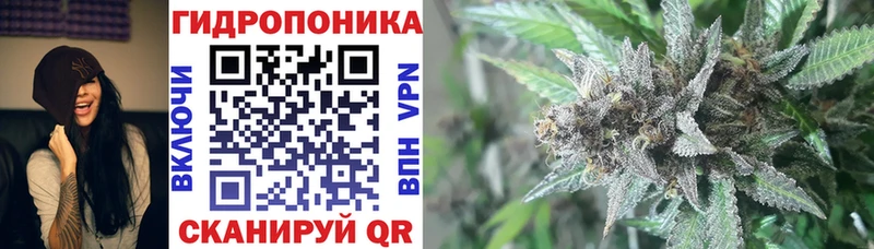 OMG ссылка  Карасук  Марихуана индика 